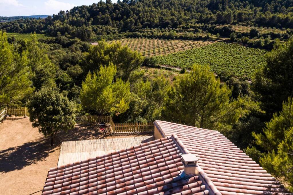 Villa L'Arbre à soleil à Aigues-Vives  Extérieur photo