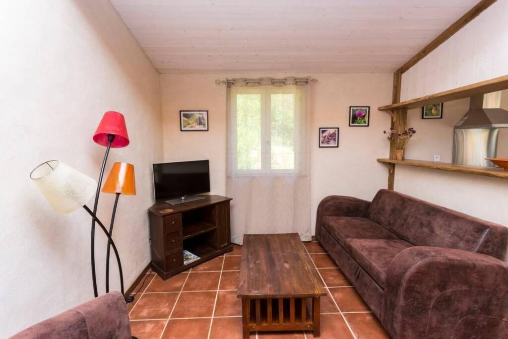 Villa L'Arbre à soleil à Aigues-Vives  Extérieur photo