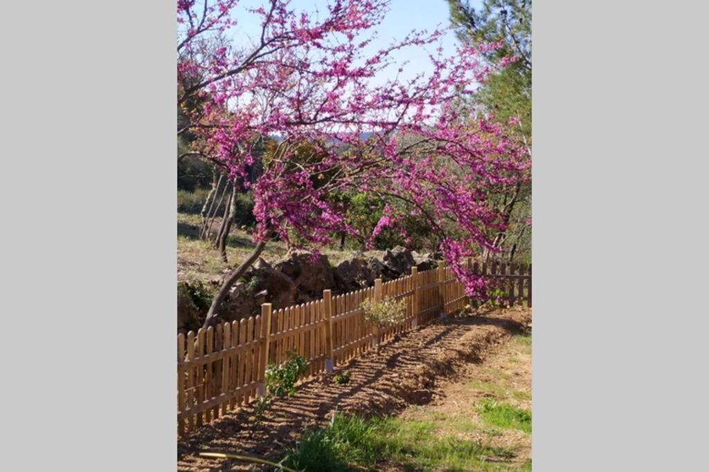 Villa L'Arbre à soleil à Aigues-Vives  Extérieur photo